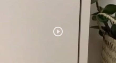 جدیدترین مدل‌های جاکفشی