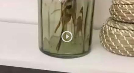 جاکفشی داشبوردی ساده و زیبا