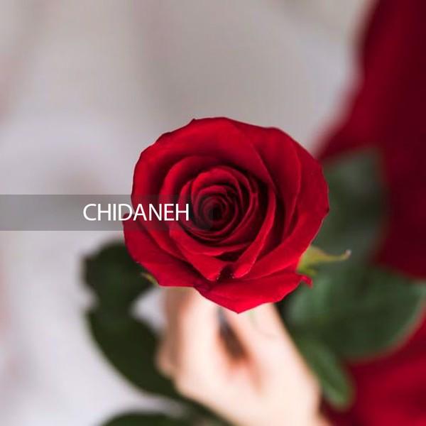 Chidaneh.com placeholder image