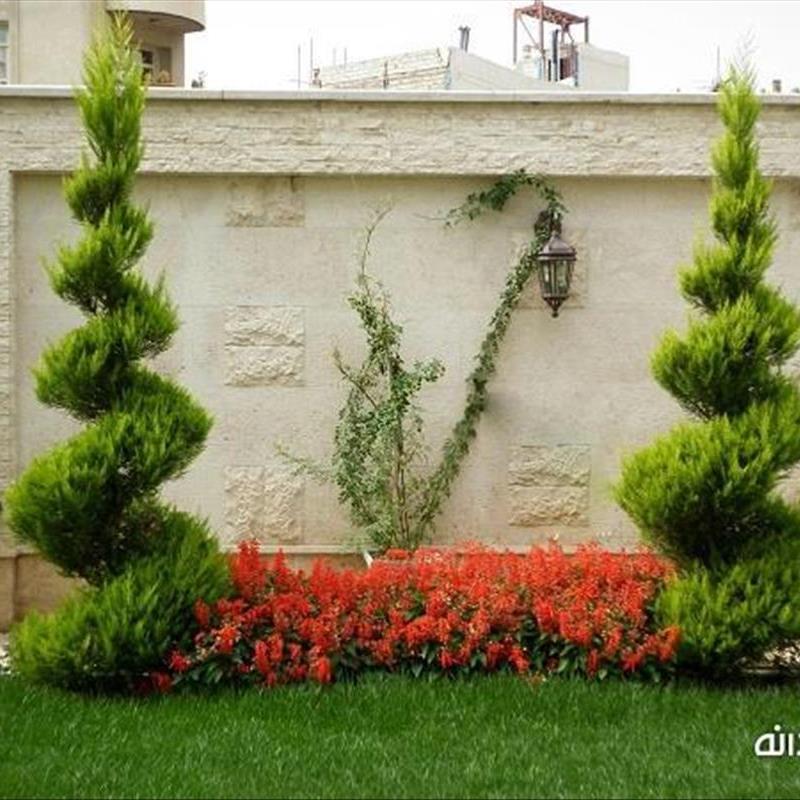 طراحی فضای سبز حیاط، به میزبانی بهار بروید!