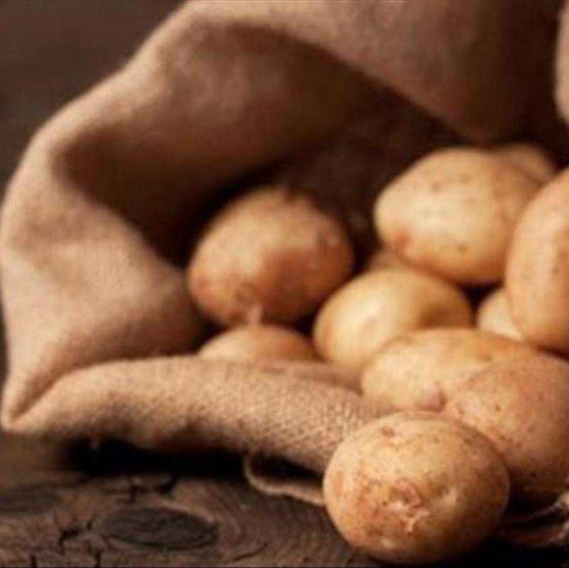 ماده شوینده جدید به اسم سیب زمینی!
