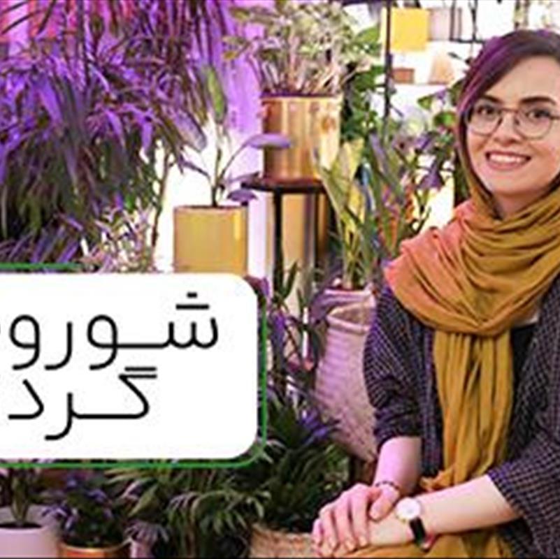 فنگ شویی عنصر چوب، چطوری تو خونه بچینیمش؟
