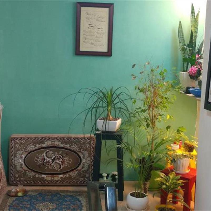 گل های زینتی آپارتمانی، دنیای سبز در خانه دنیا