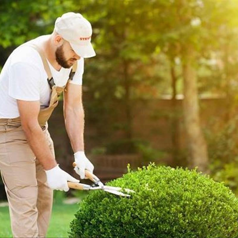 شرکت های طراحی فضای سبز، این یک رابطه دو طرفه است!