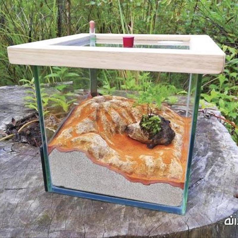 ریوم های شگفت انگیز، از تراریوم تا فورمیکاریوم در دکوراسیون!