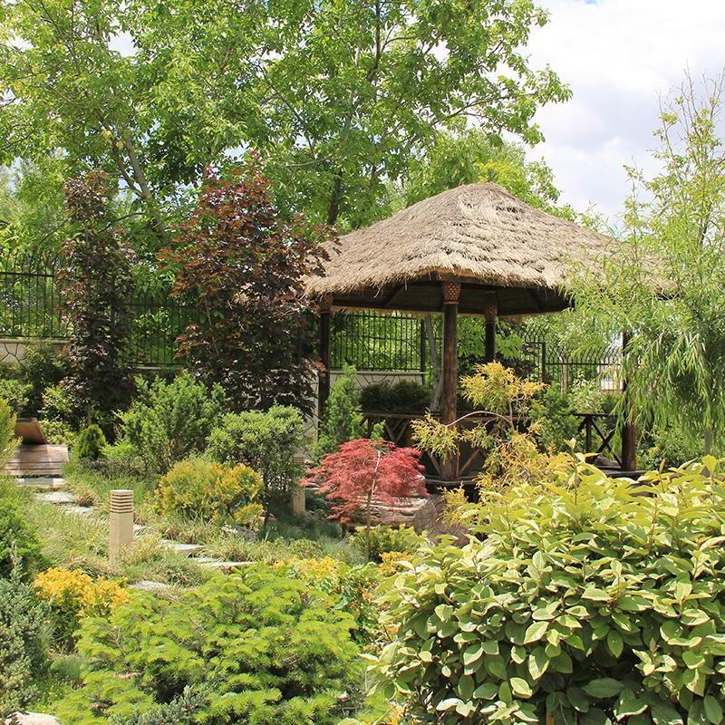 نگهداری فضای سبز، بدون این ۵ اصل شدنی نیست!