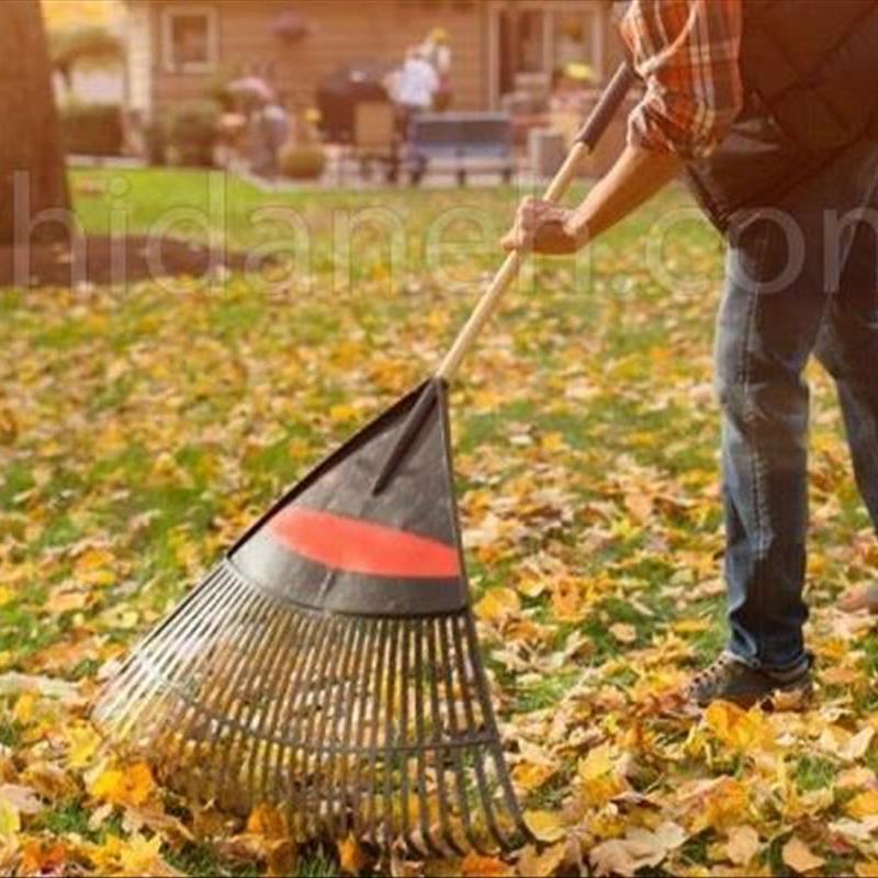 جمع آوری برگ های پاییزی، مکانیزه یا دستی؟