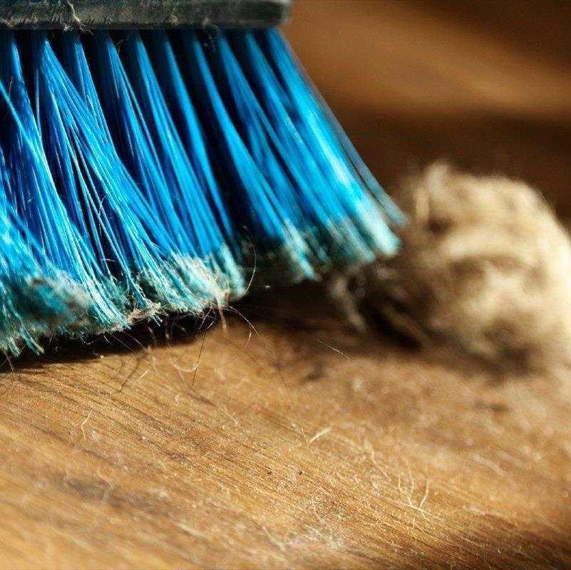چطور خانه را تمیز نگه‌ داریم؟ آسون تر از این نمیشه!