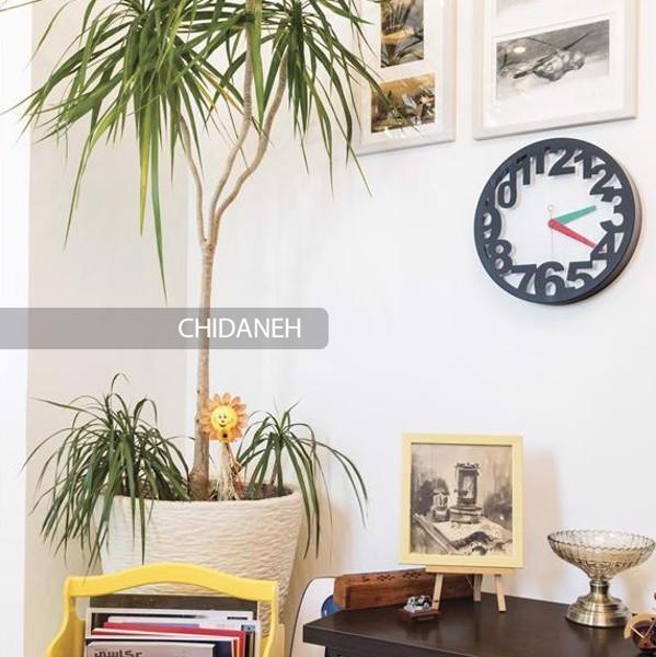 گل‌های آپارتمانی چطور تو دامن ننه سرما زنده بمونن؟