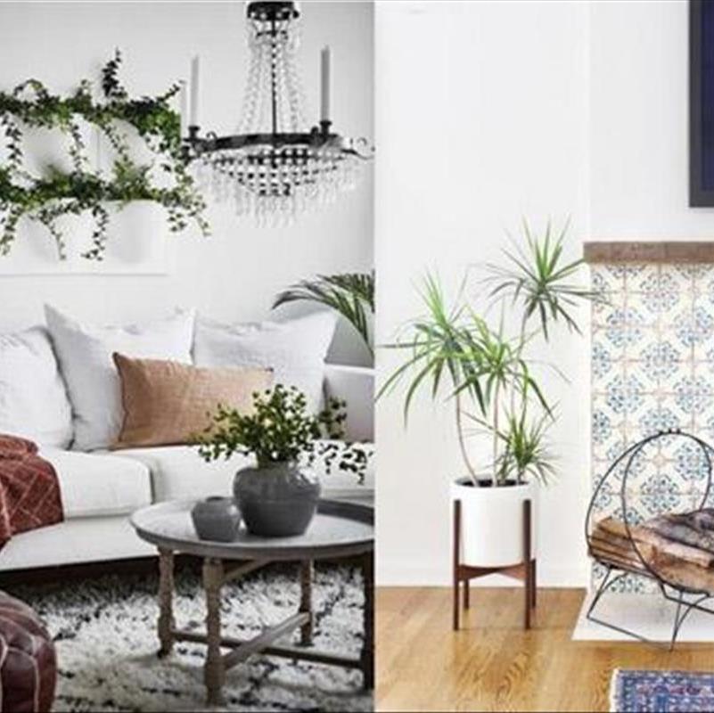 تزیین خانه با گل و گیاه، با این 10 ایده به تماشای گل هایتان بنشینید!