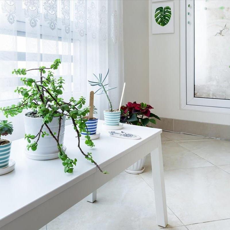 انواع گلدان، بیا ببینیم کدوم به دکوراسیون تو میاد!