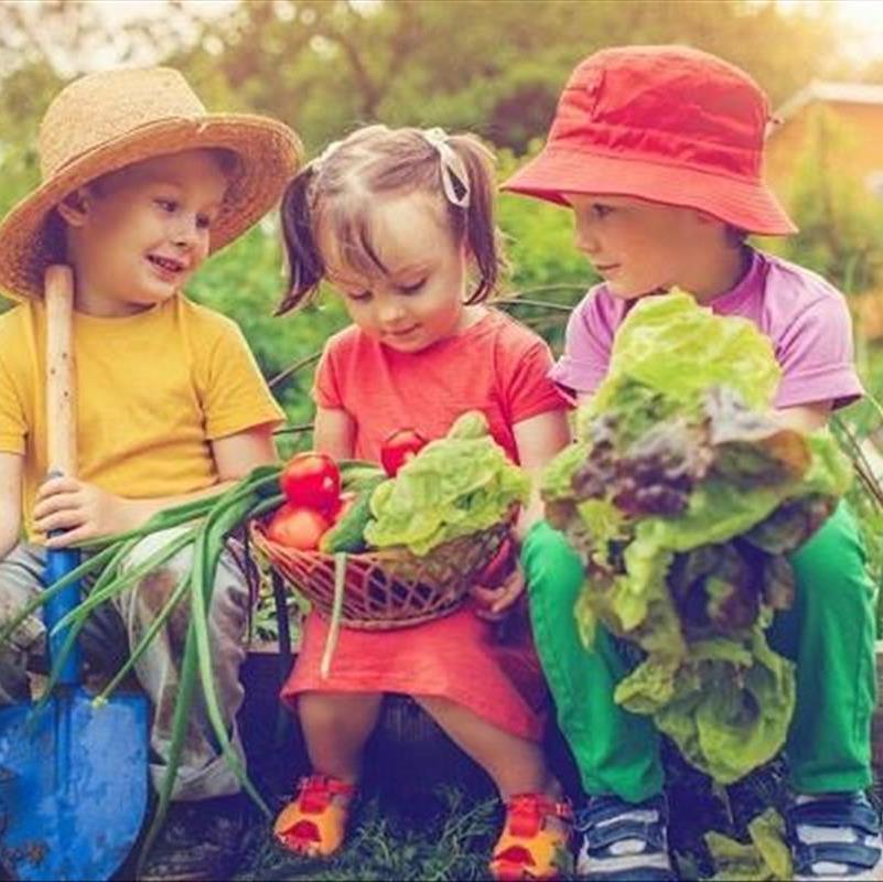 باغبانی کودکان، میشه به این دست‌های کوچولو اعتماد کرد!