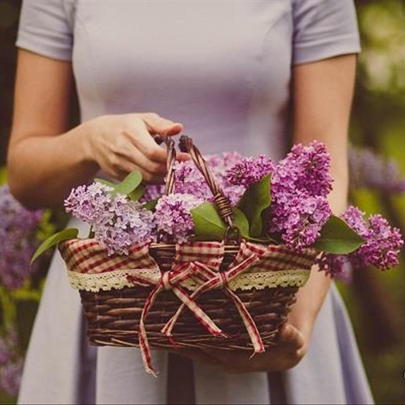 تزیین سبد گل، این سبدهای خوشگل تقدیم با عشق!