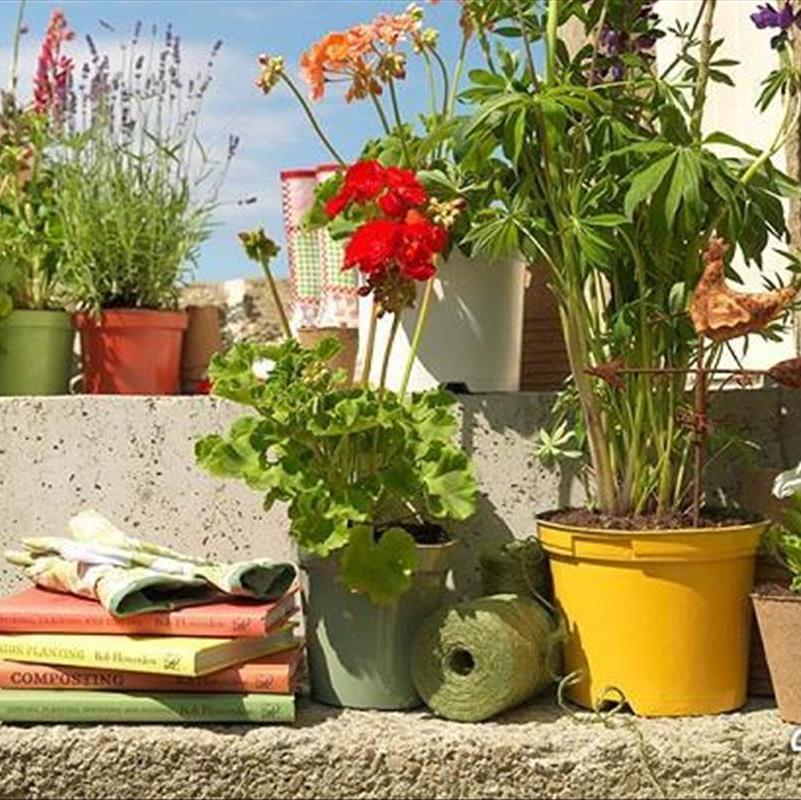 سمپاشی باغچه، راه های خانگی برای نجات زمین!