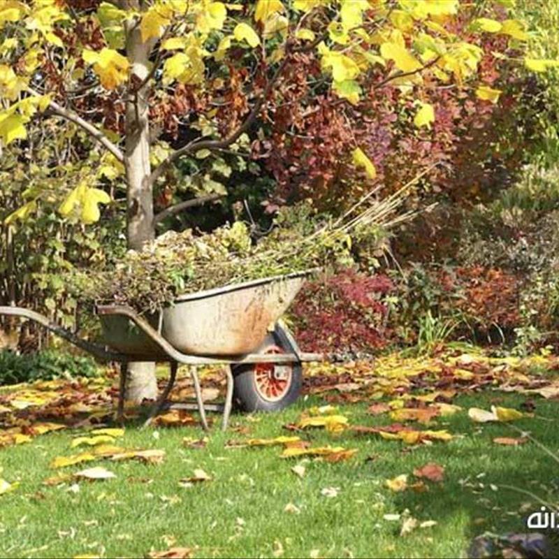 مراقبت‌های زمستانه از فضای سبز، 10 نکته آماده سازی حیاط
