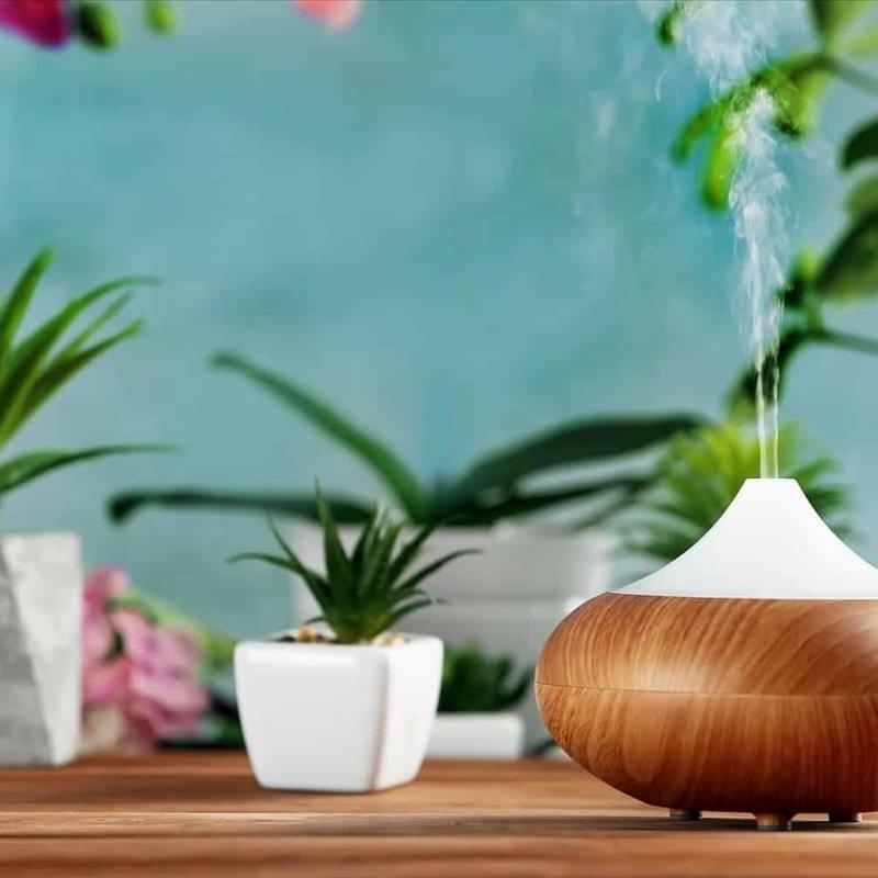 خرید دستگاه بخور سرد، در زمستان گیاهانتان را دریابید!
