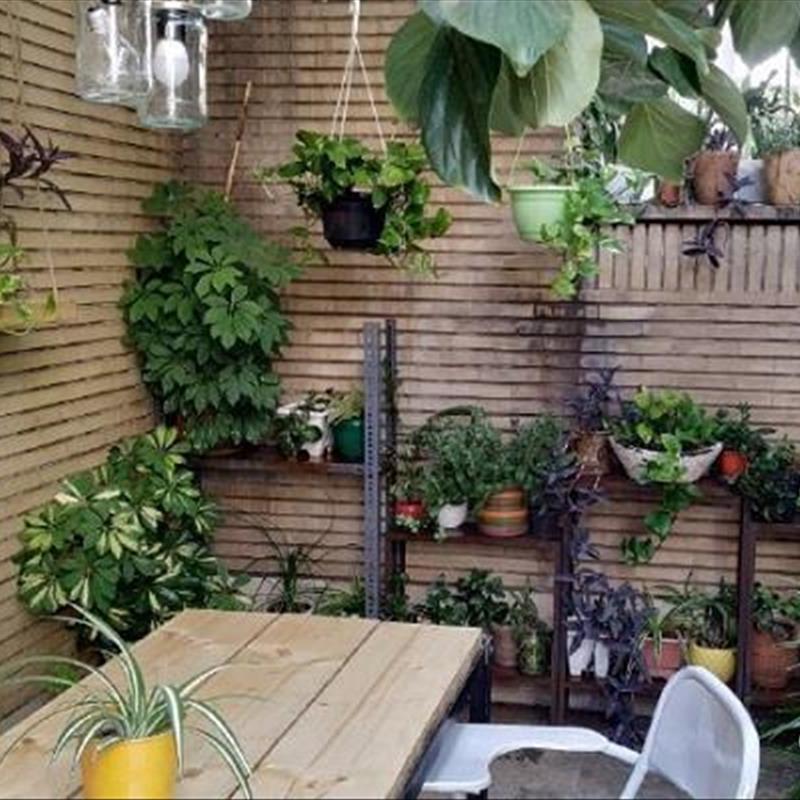 گیاهان چهار فصل باغچه ای، حیاط سبز پر از گلدان در خانه علیرضا!
