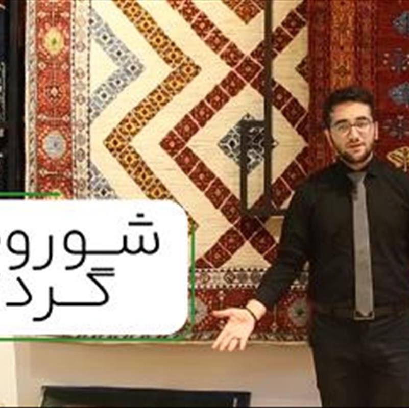 انواع مدل فرش دستباف، بهترین ها در شوروم گردی با فرش ذوالانواری