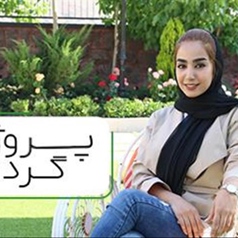 چمن مصنوعی ورزشی، فرقش با تزیینی چیه؟