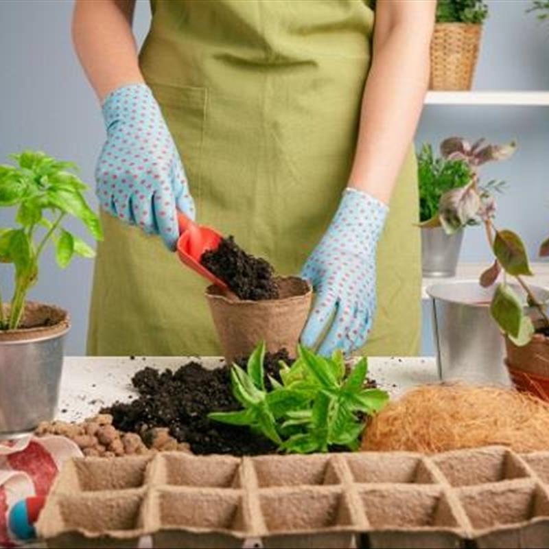 کود دادن به گیاهان خانگی، می توانید به سلامت گیاه خود کمک کنید!