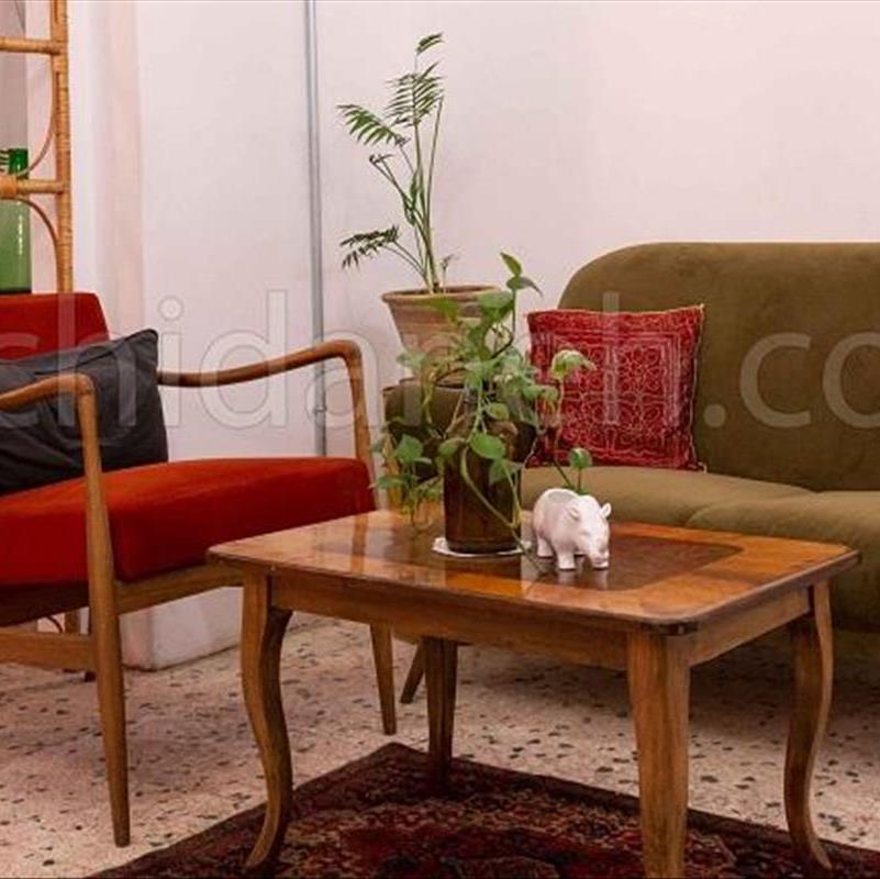 هاستل کرگدن، مرمت خانه قدیمی + تصاویر