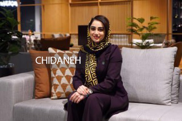 25 مدل عکس مبل شیک و جدید در دکوراسیون + ویدئو