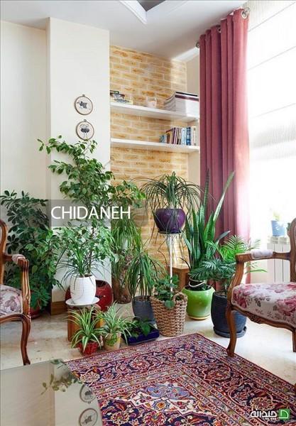 گیاهان آپارتمانی برای دکوراسیون کلاسیک؛ این 8 تا گیاه کمکتون میکنه!