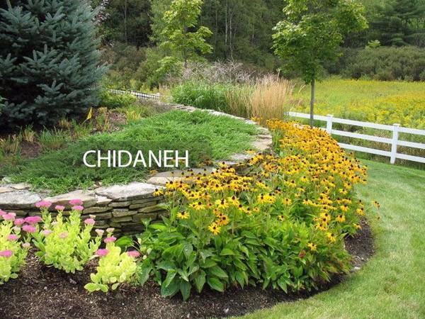 Chidaneh.com placeholder image