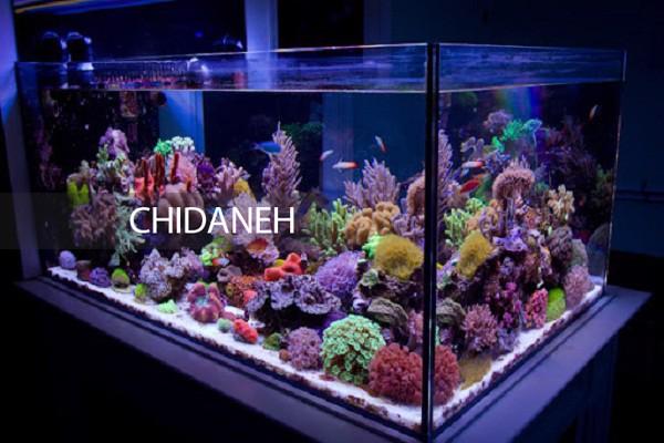 خودتان برای ساخت آکواریوم دست به کار شوید