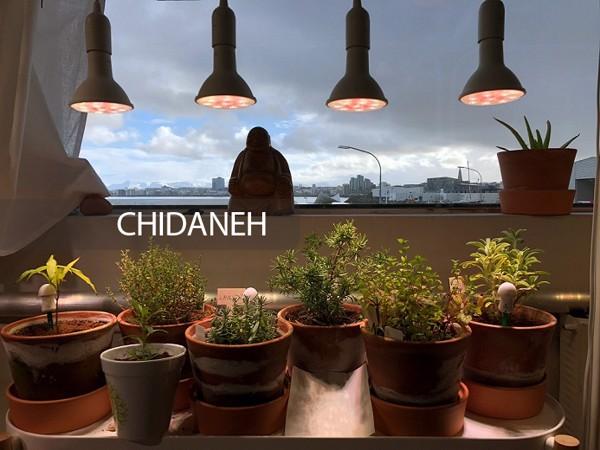 Chidaneh.com placeholder image