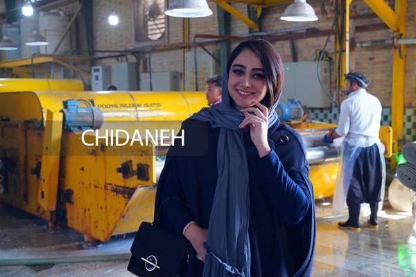 کارخانه قالیشویی ادیب، ممتاز‌ترین شستشوی فرش