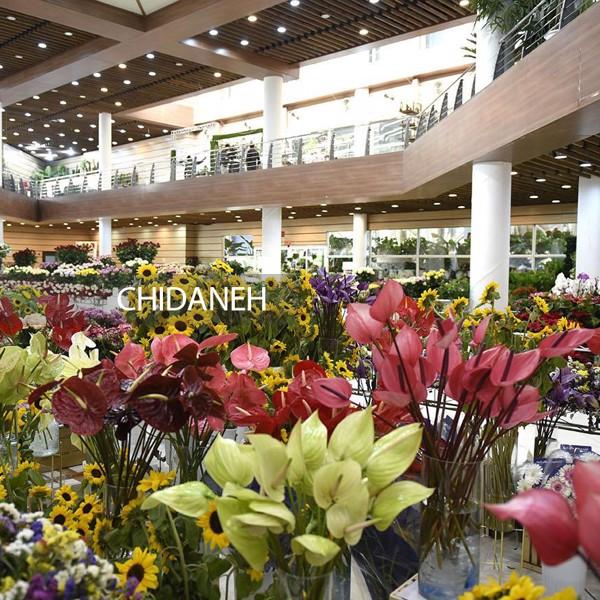 نمایشگاه چند منظوره بین المللی گل و گیاه تهران 1401