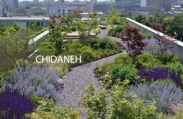 روف گاردن نیمه متمرکز چیست و چه فرقی با روف‌گاردن‌های دیگر دارد؟