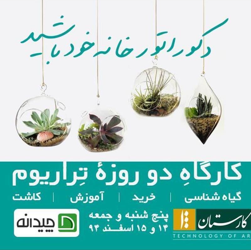 کارگاه آموزشی ساخت تراریوم در منزل