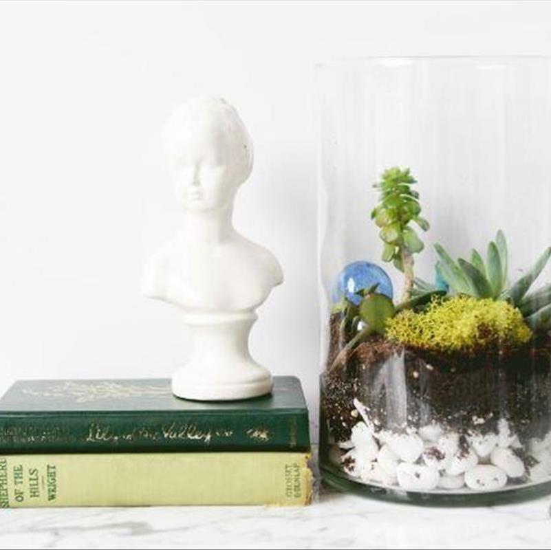 یک تراریوم زیبا در لیوان شیشه ای شما