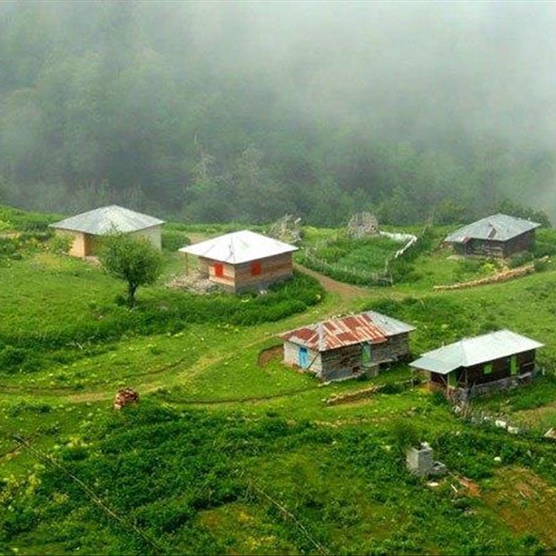 دیدنی ترین مکان های سرسبز ایران برای سفر در تابستان