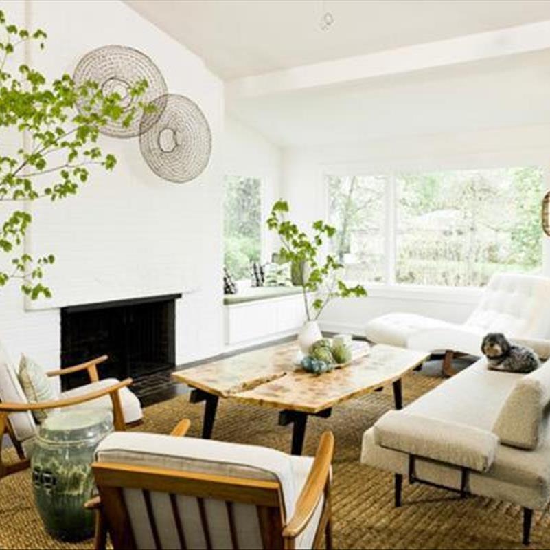 سبز ی را از طبیعت به داخل خانه بیاورید