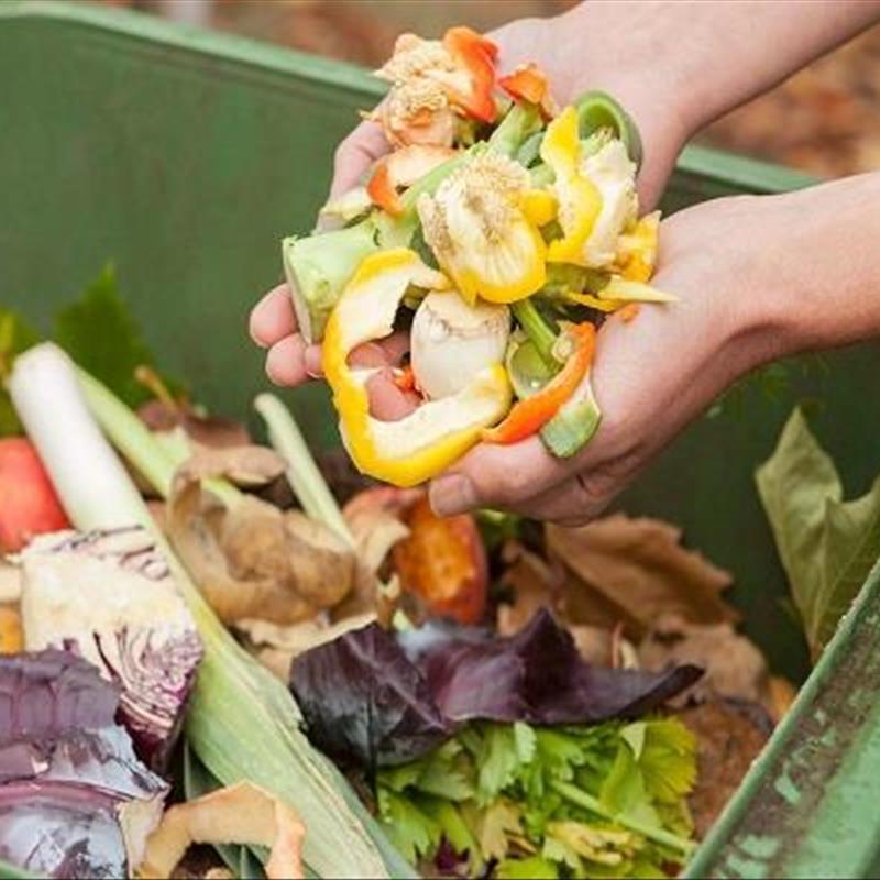 چگونه در منزل کود خانگی بسازیم؟