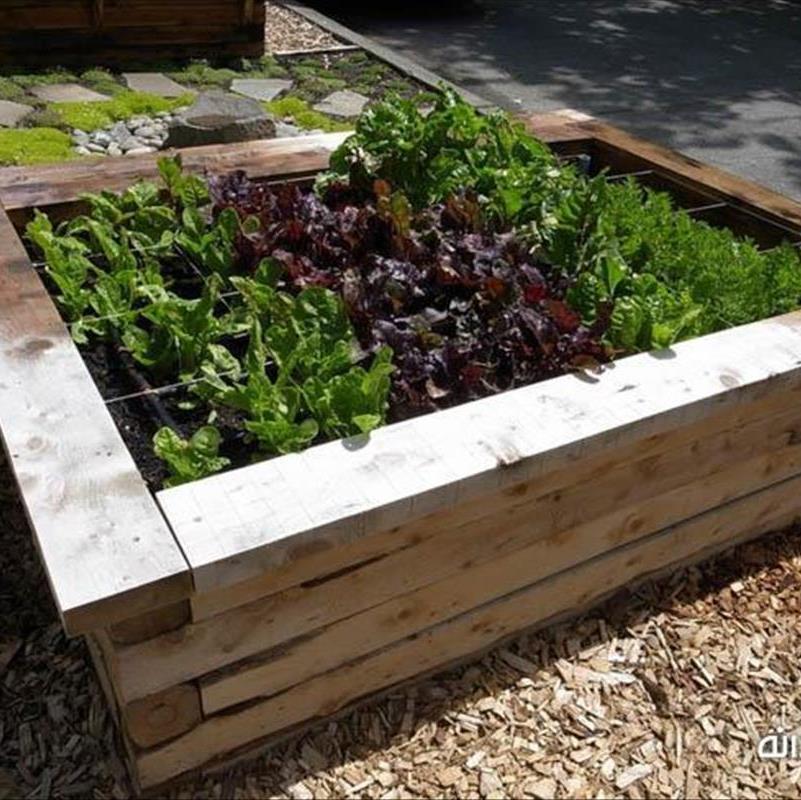 ساخت باغچه چوبی برای کاشت سبزی خانگی