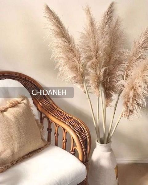 رنگ بژ چه رنگی است؟ کاربرد رنگ بژ در دکوراسیون