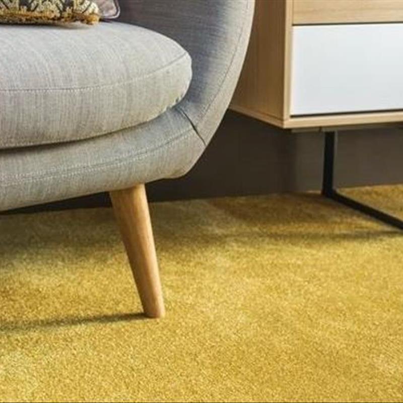 بهترین رنگ موکت برای پذیرایی، چطور با فرش ست کنم؟