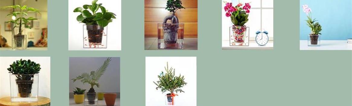Chidaneh.com placeholder image
