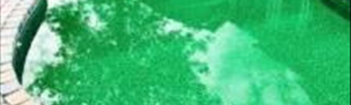 Chidaneh.com placeholder image