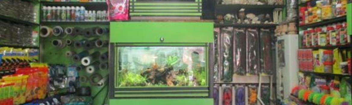 Chidaneh.com placeholder image