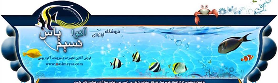 Chidaneh.com placeholder image