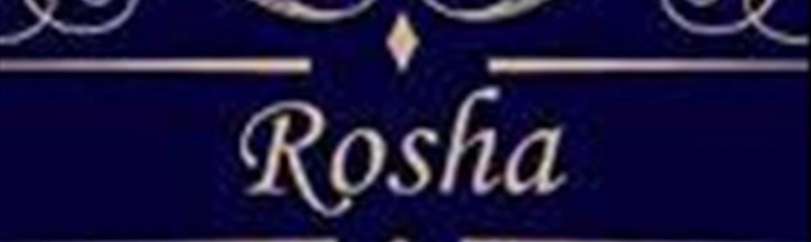 گروه معماری روشا دیزاین