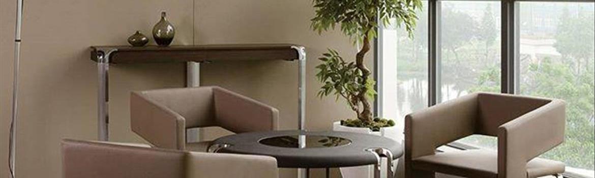 لیمیت لِس/limitless