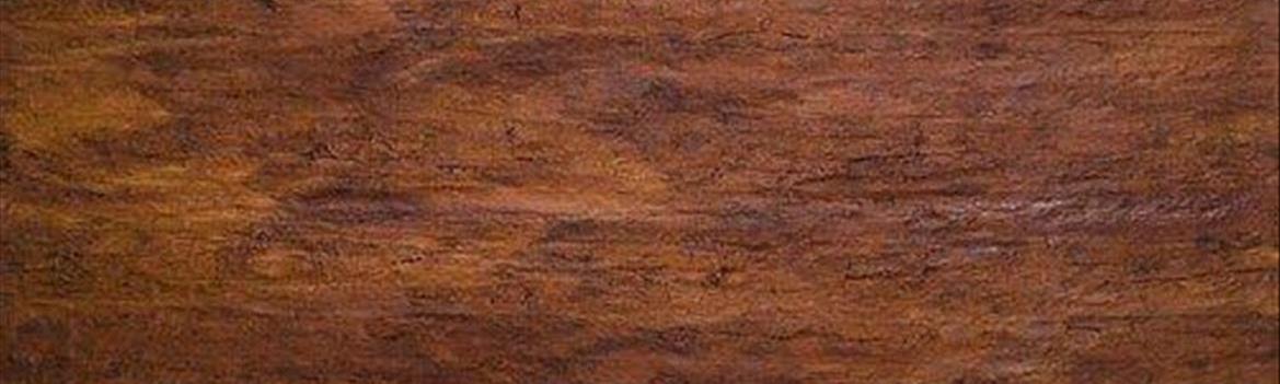 آکواریوم رنگین کمان