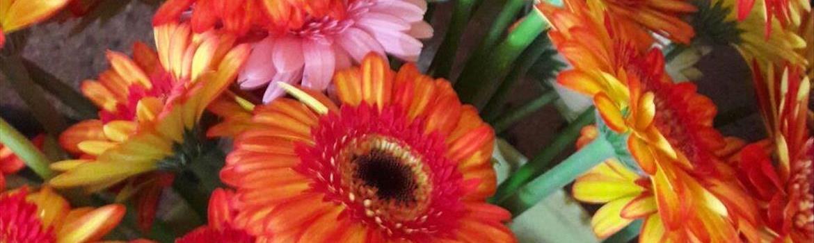 شرکت پیشگامان توسعه سبز