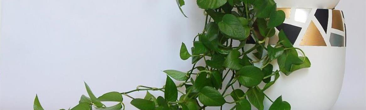 Chidaneh.com placeholder image